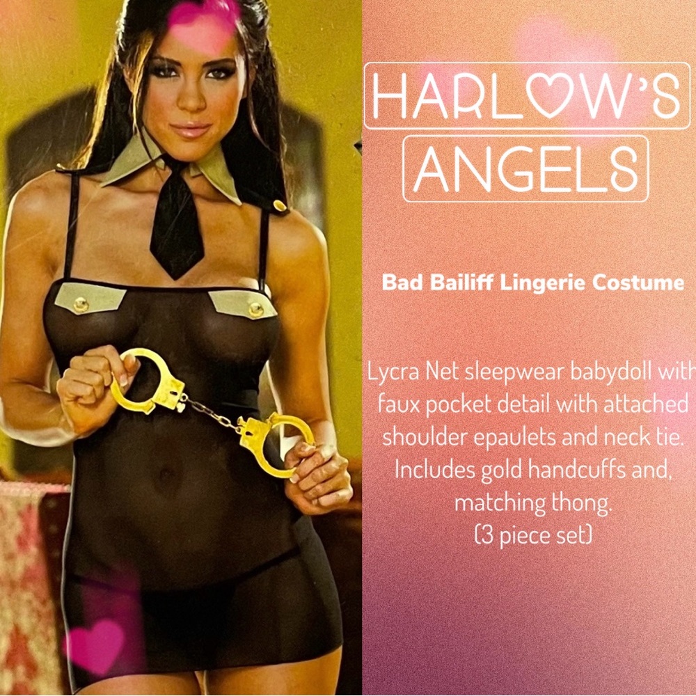 Bad Bailiff Adult Lingerie Costume